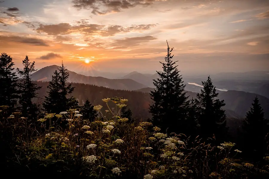 Sonnenuntergang am Zwölferhorn | Wanderung Zwölferhorn