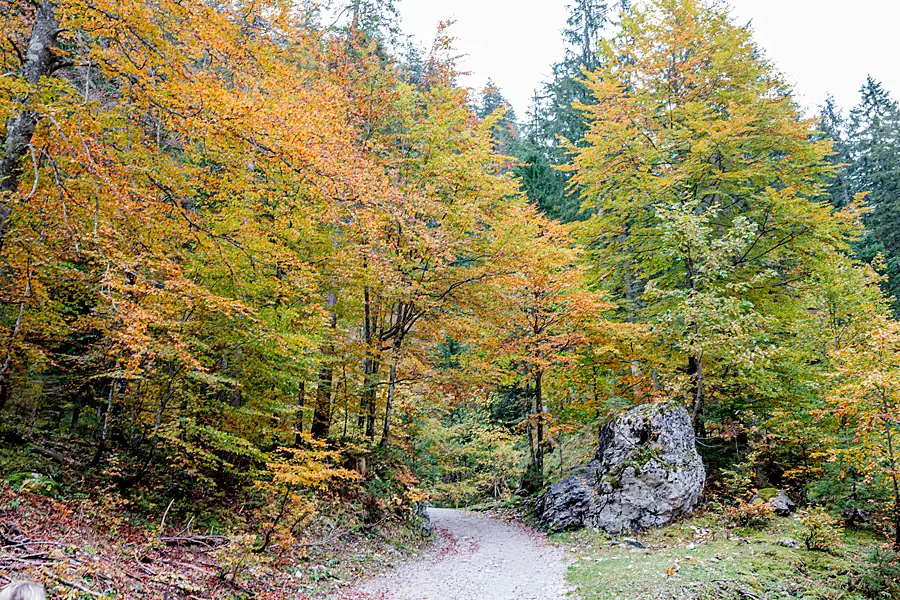 Herbstlicher Weg am Gosausee