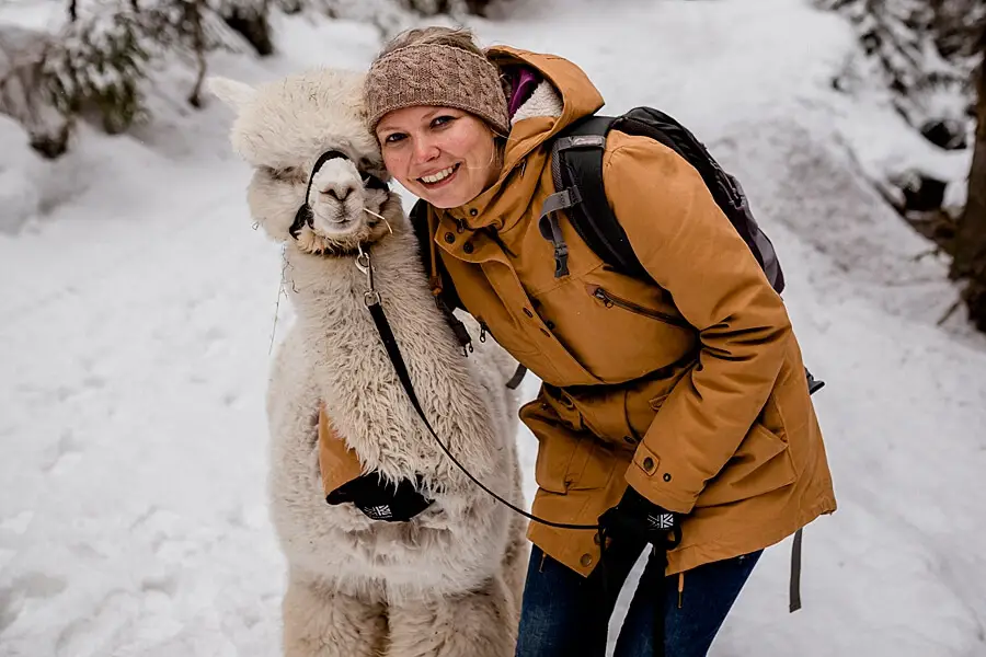 Alpaka Wandern Seefeld Steffi