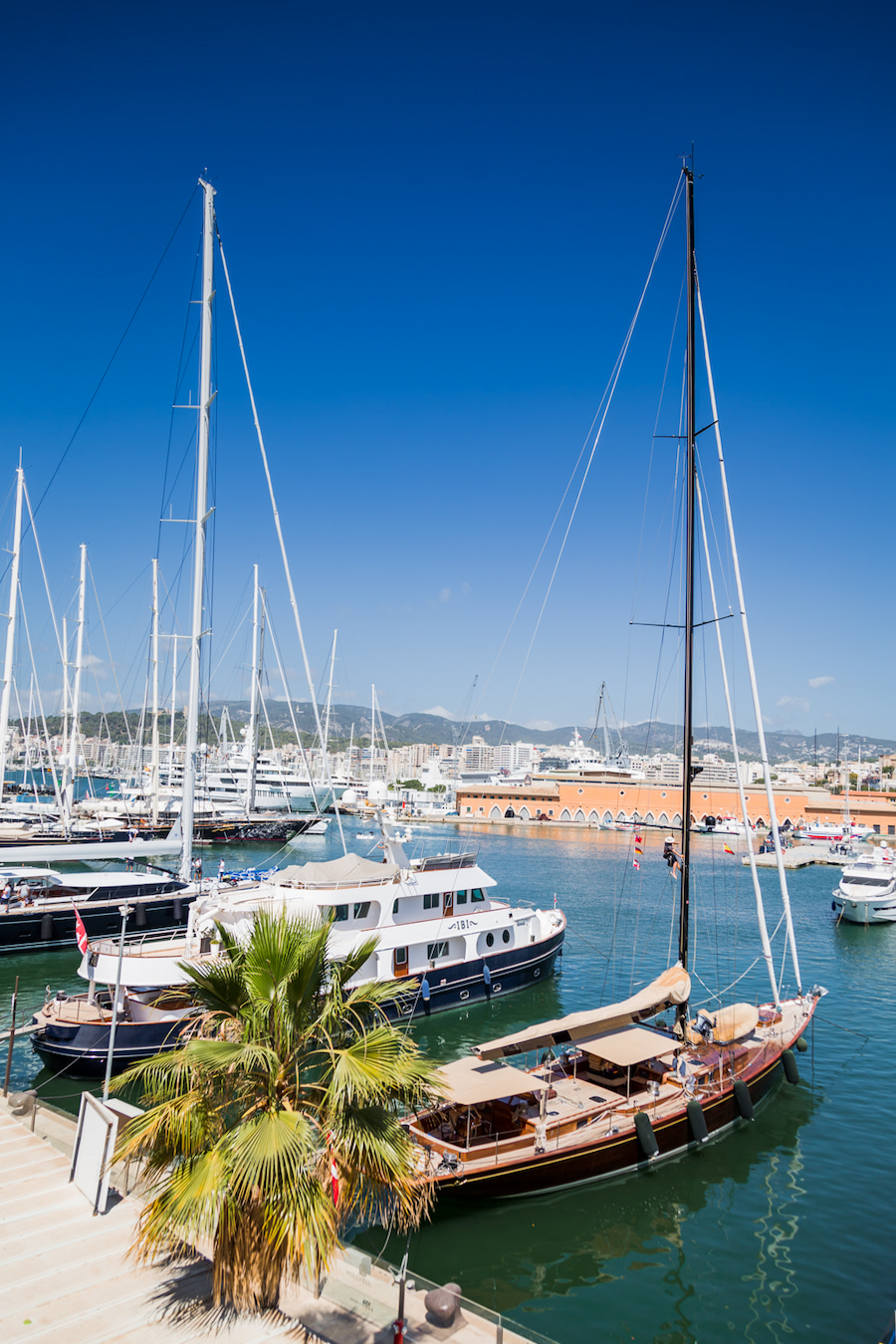 Mallorca Roadtrip - der Yachthafen