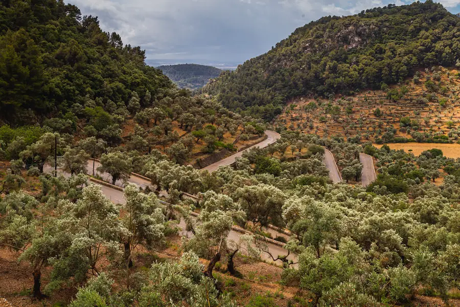 Mallorca Roadtrip - Straßenserpentinen