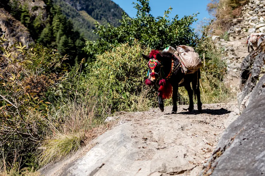 Manaslu Circuit Trek