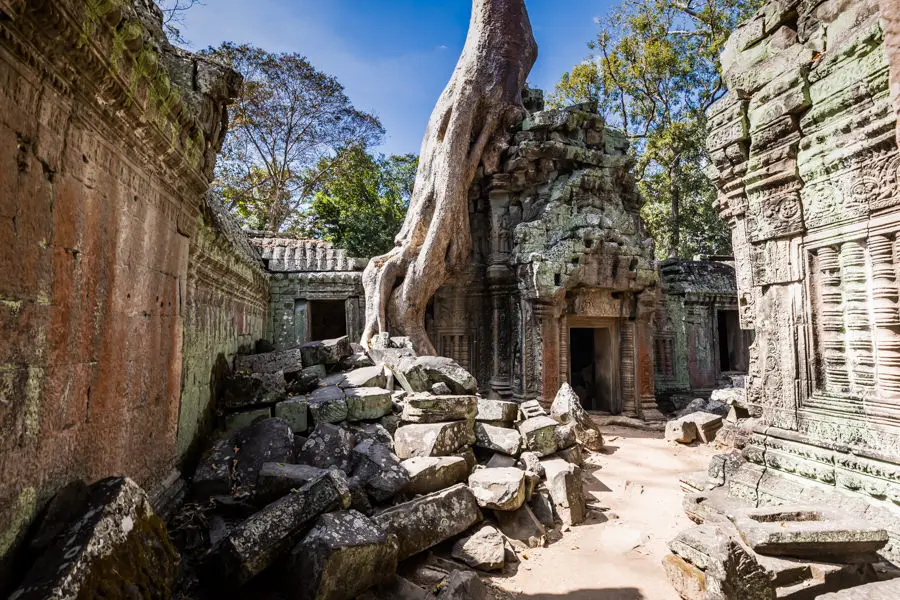 Ta Phrom Tomb Raider - Adventure Moments