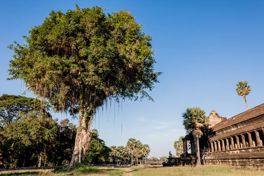 Angkor Wat Kambodscha