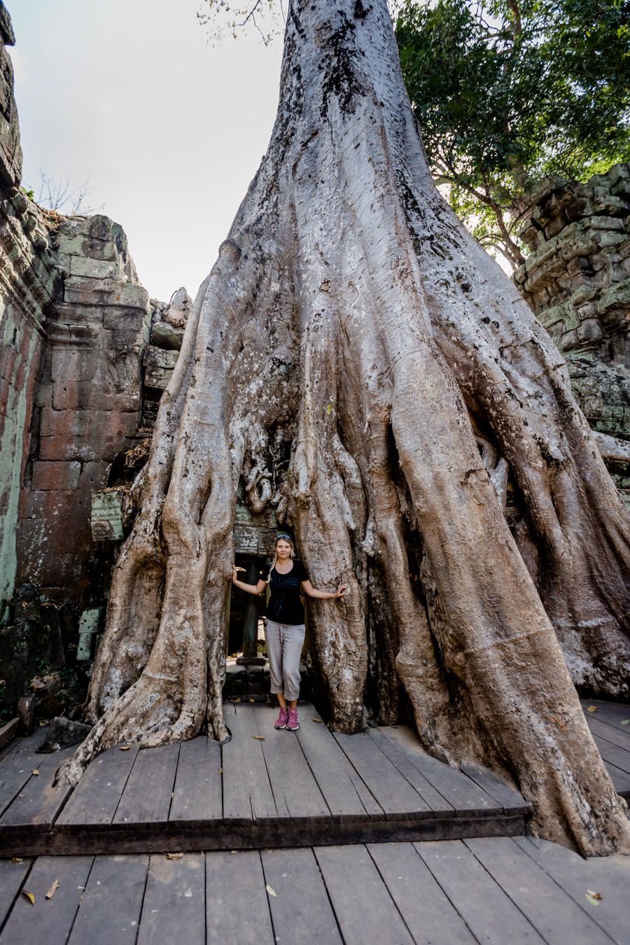 Ta Phrom Tomb Raider - Adventure Moments