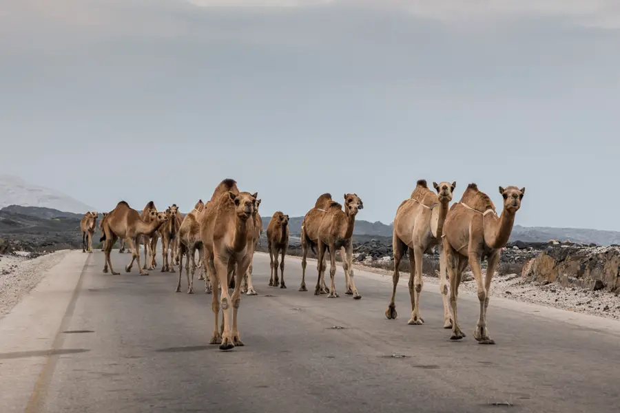 Wadi Ash Shuwamayya Oman Reise 8