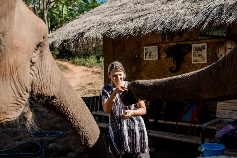 Ein Tag mit Elefanten in Thailand naturnah & artgerecht