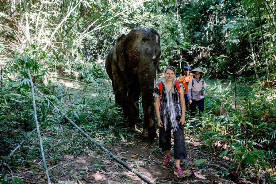 elefanten thailand chiang rai adventure moments 0066