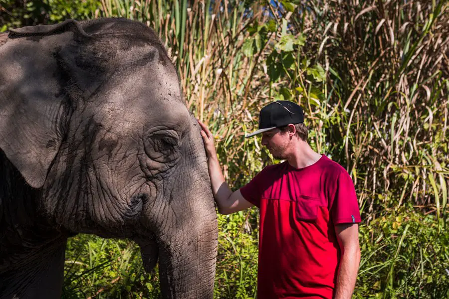 elefanten thailand chiang rai adventure moments 0067