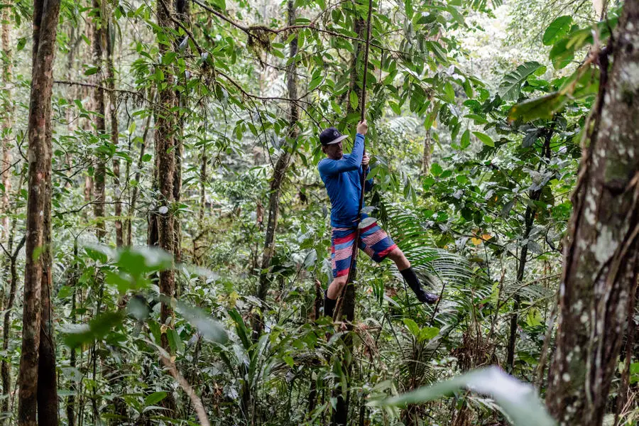 Guayusa Runa