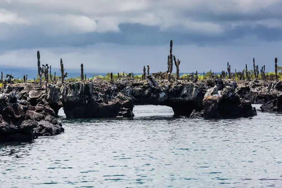 Galapagos Inseln - Isabela - Tuneles