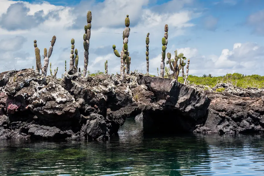 Galapagos Inseln Reise - Isabela - Tuneles