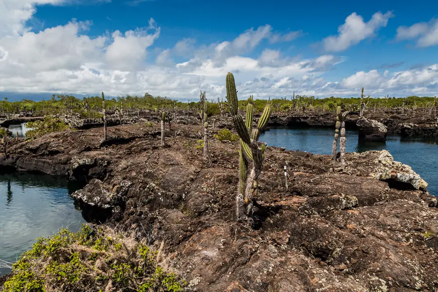 Galapagos Inseln Reise - Isabela - Tuneles