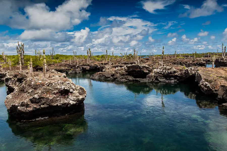 Galapagos Inseln Reise - Isabela - Tuneles