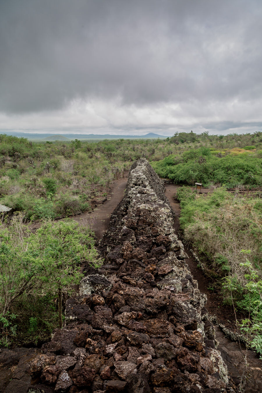 Galapagos Inseln Sehenswürdigkeiten: Isabela - Wall of Tears