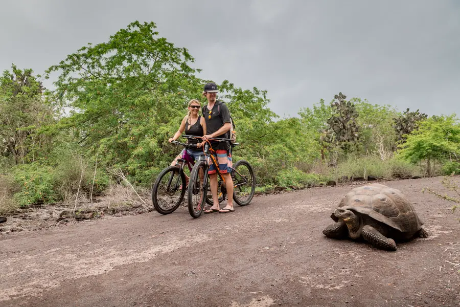 Galapagos Inseln - Isabela