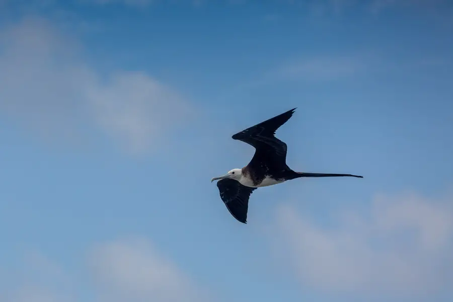 Galapagos Inseln Reise - Cristobal