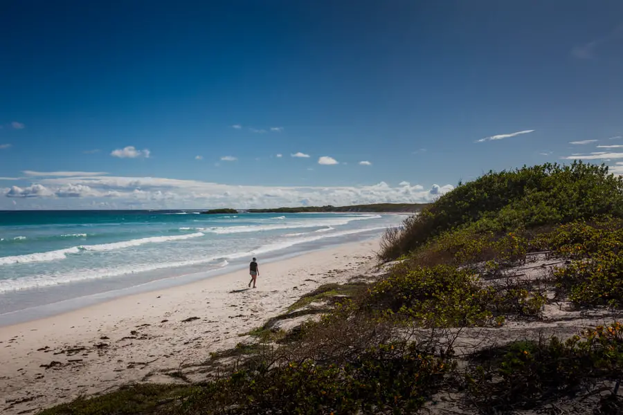 Galapagos Inseln Sehenswürdigkeiten: Santa Cruz - Tortuga Bay