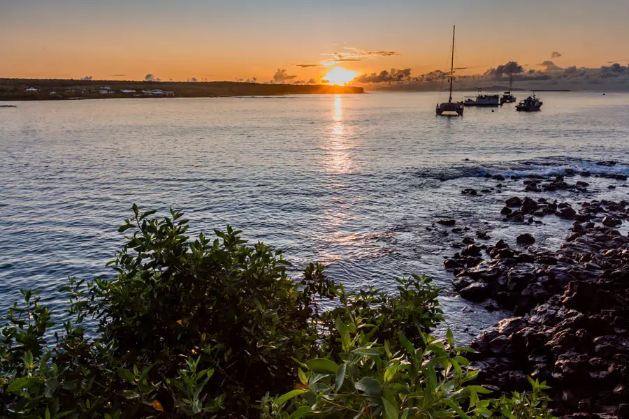 Galapagos Inseln Sehenswürdigkeiten: Santa Cruz 