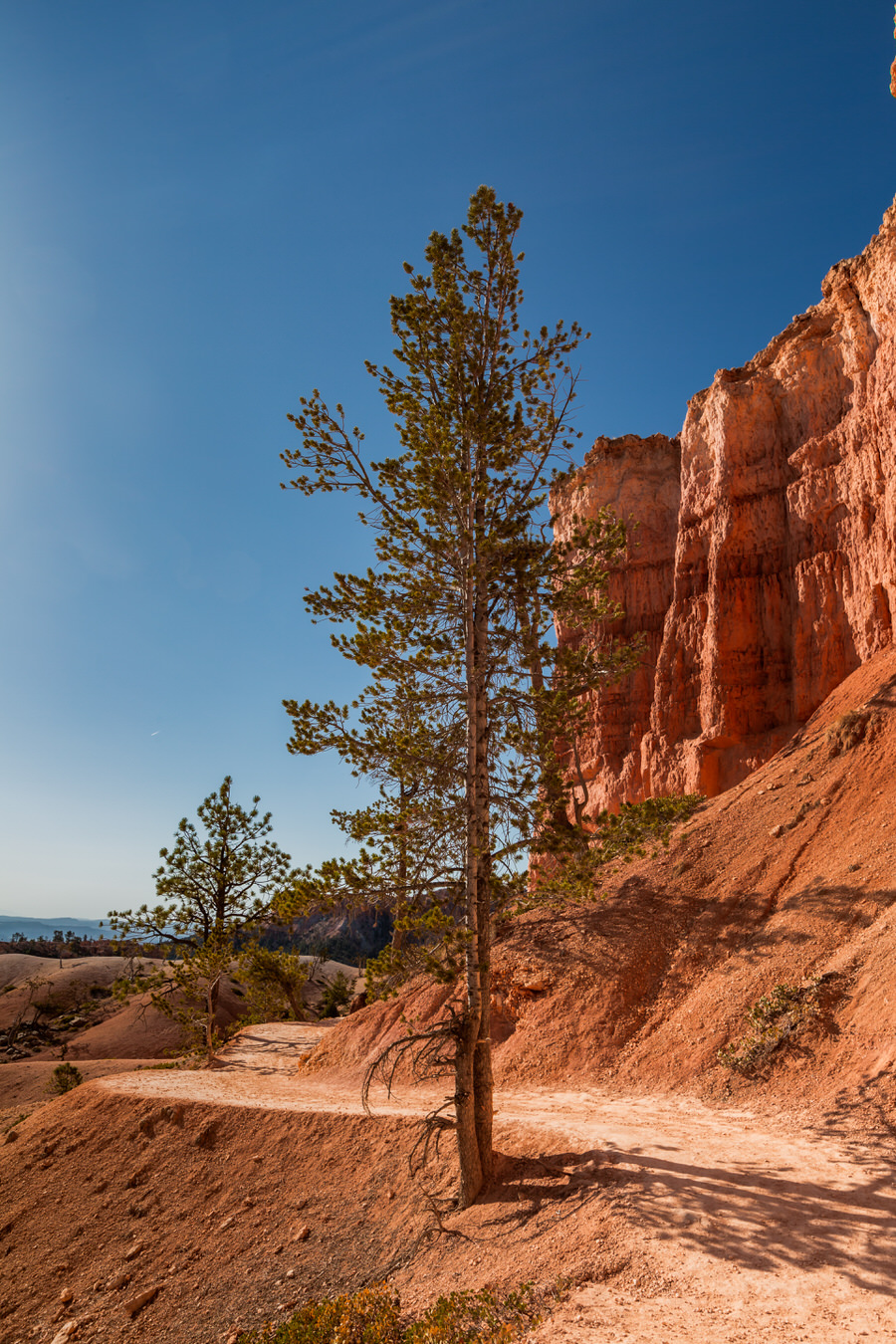 Bryce Canyon Nationalpark - Quens Garden