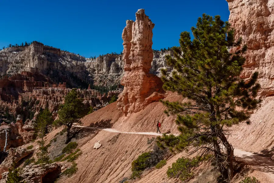 Bryce Canyon Nationalpark - Hoodoos