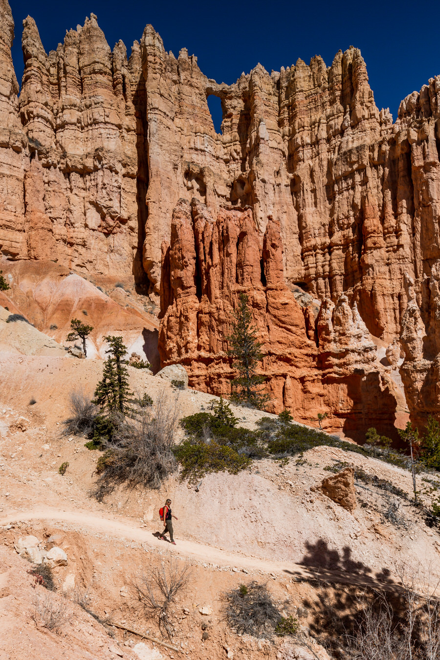 Bryce Canyon Nationalpark - Steffi