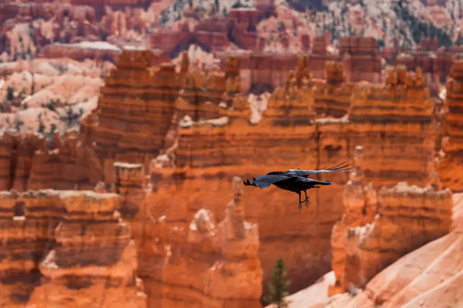 Bryce Canyon Nationalpark