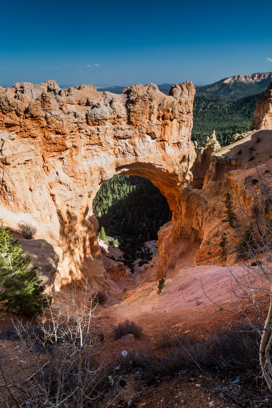 Bryce Canyon Nationalpark - Natural Bridge