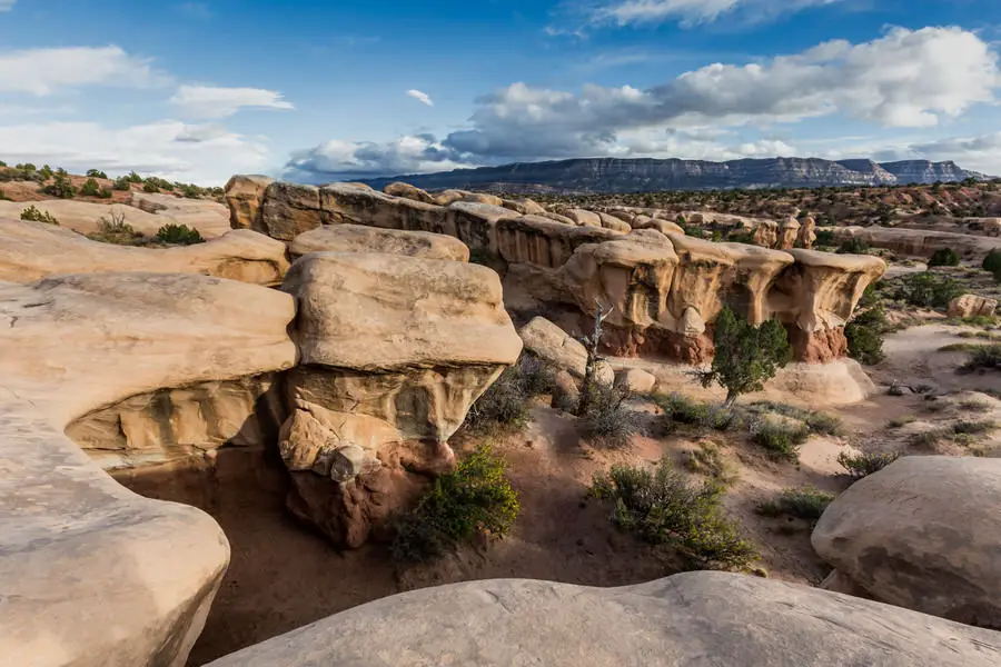 Escalante - Devils Garden