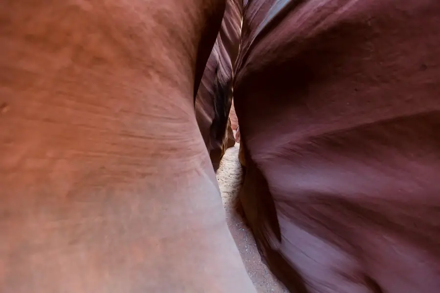 Escalante - Spooky Gulch