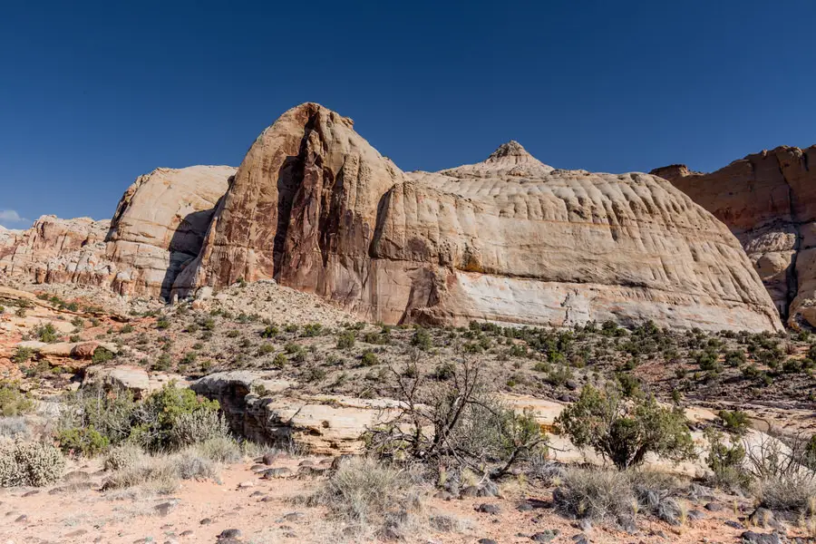 Capitol Reef National Park