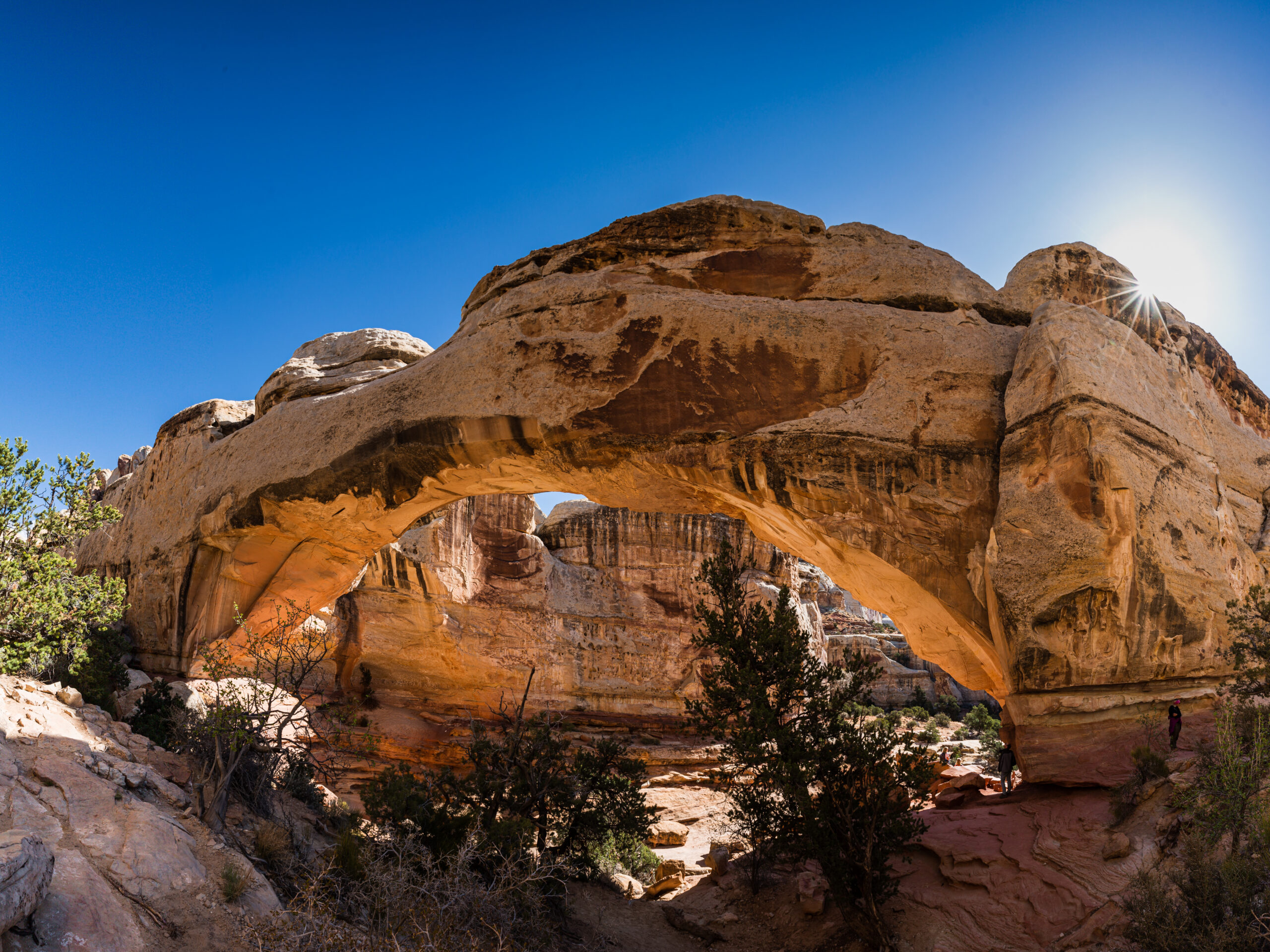 Capitol Reef National Park - Hickman Arch