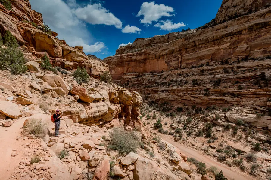 Capitol Reef National Park- Weg zur Cassidy Arch