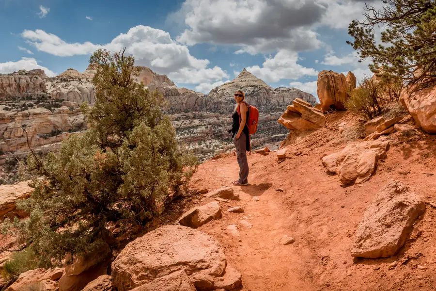 Capitol Reef National Park- Weg zur Cassidy Arch