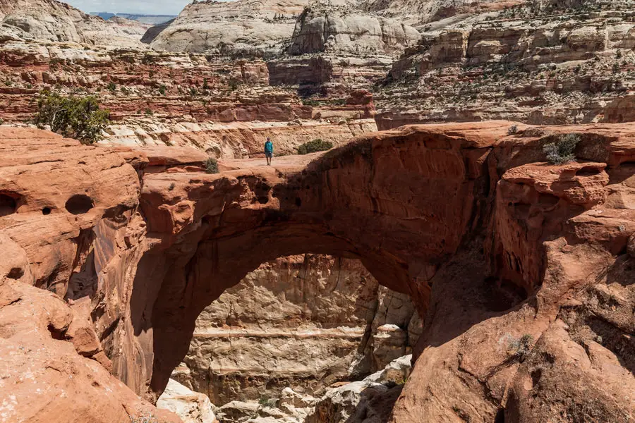 Capitol Reef National Park- Weg zur Cassidy Arch