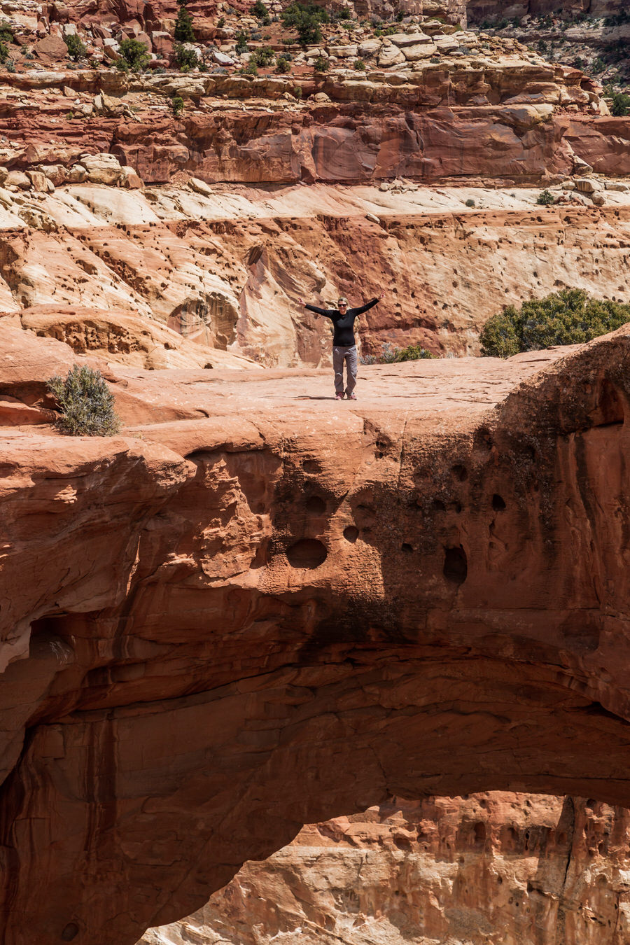 Capitol Reef National Park- Weg zur Cassidy Arch