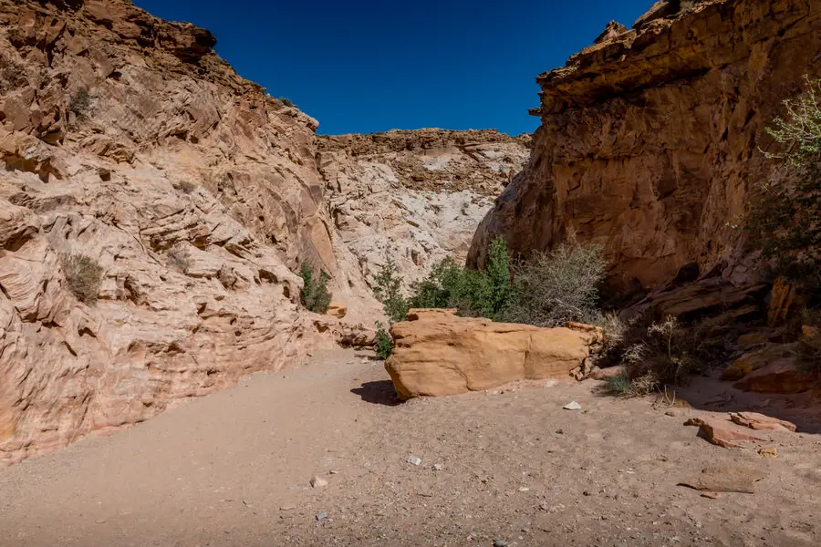 Bachbett zum Little Wild Horse Canyon