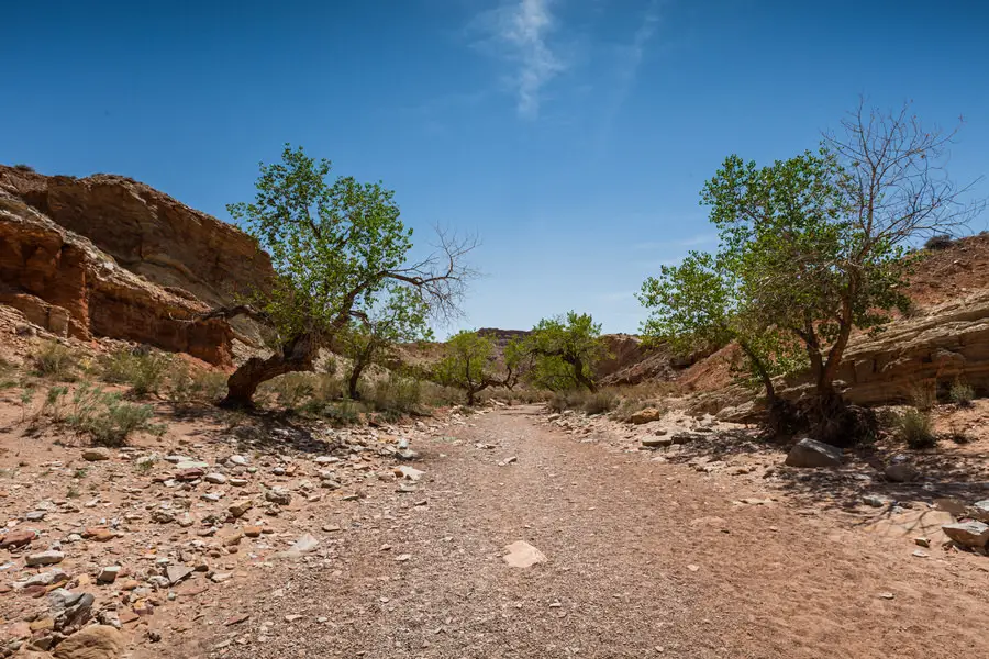 Bachbett zum Little Wild Horse Canyon