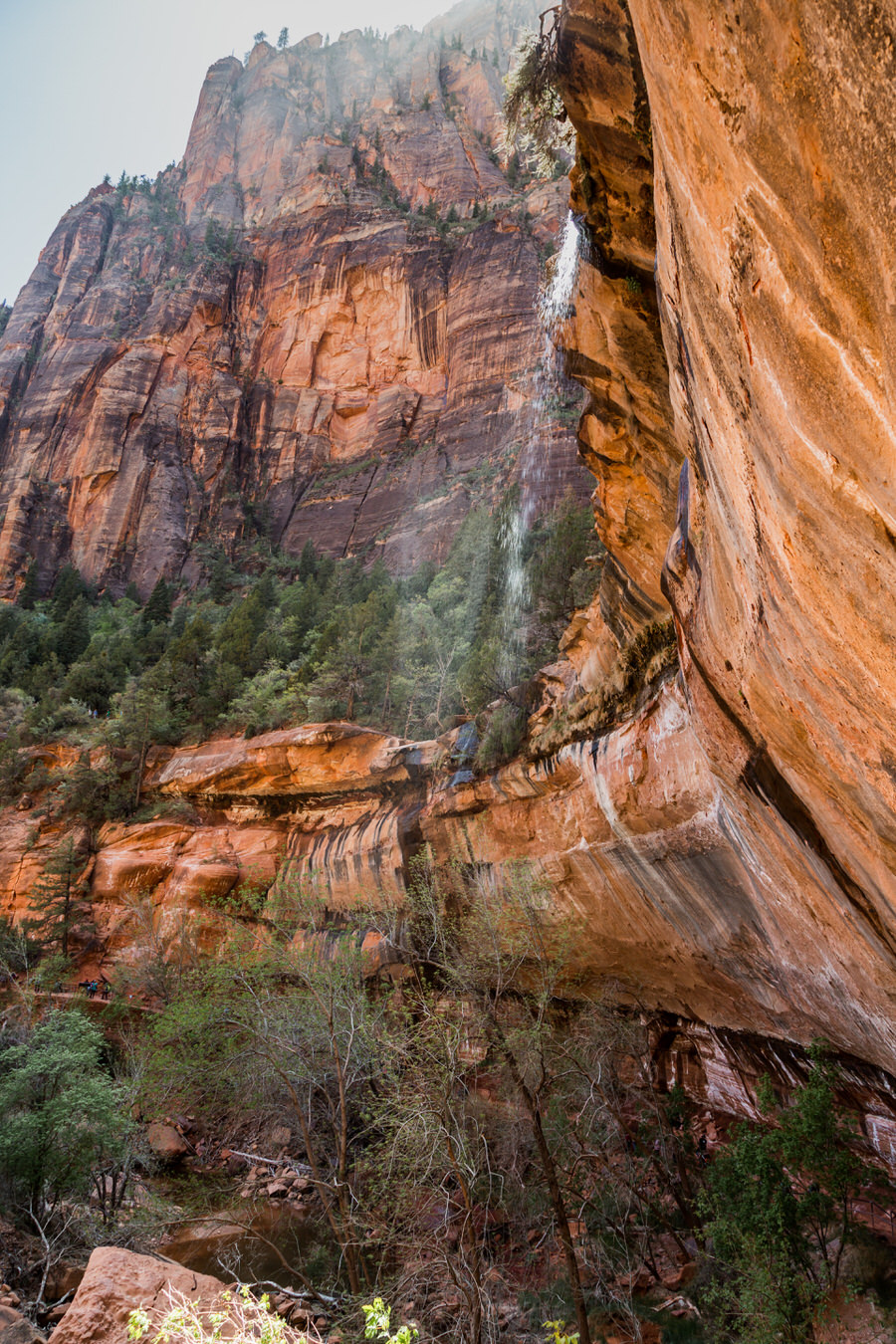 Zion NP Emerald Pools