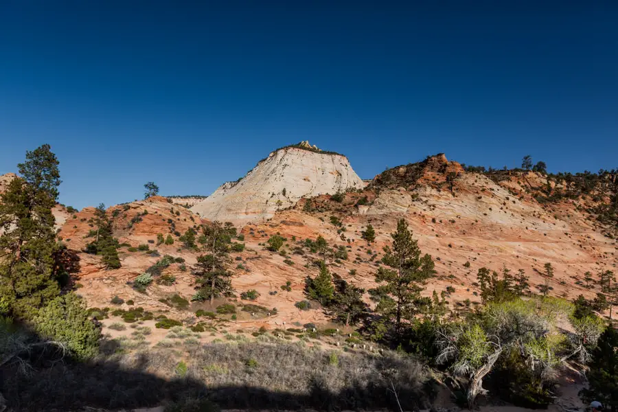 Zion National Park Zion - Chequered