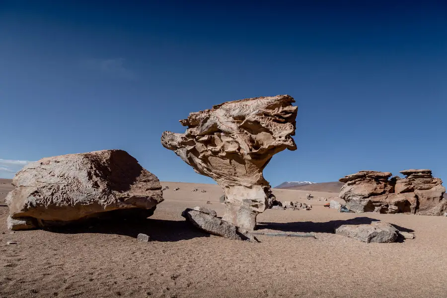 Arbol de Piedra