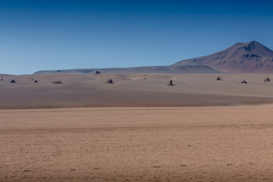 Salvador Dali Wüste
