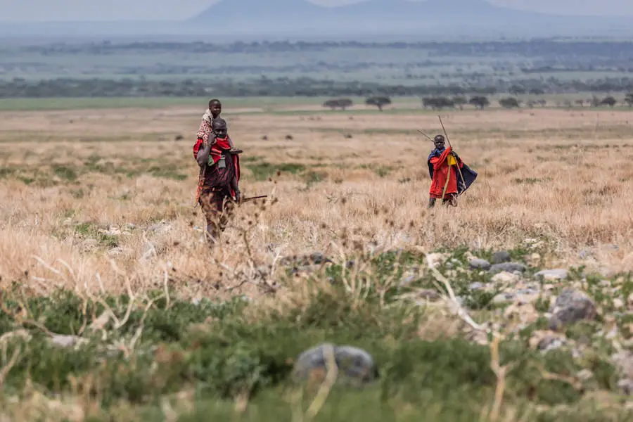 020 tansania safari adventure moments