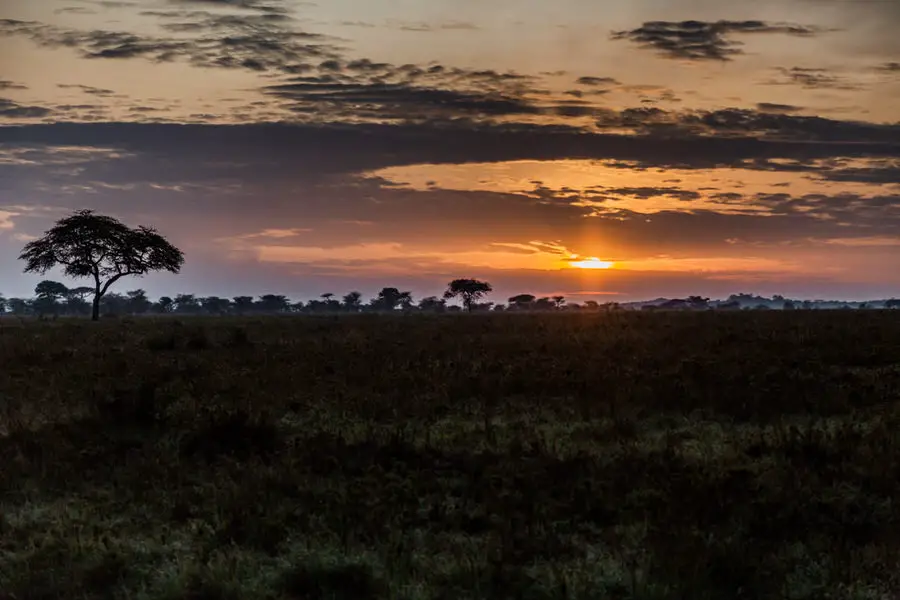 030 tansania safari adventure moments