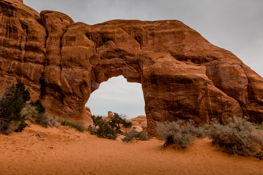 Arches Nationalpark - Pinetree Arch