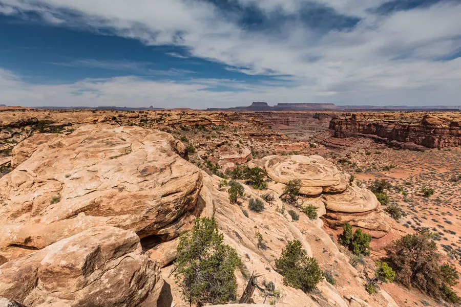 The Needles im Canyonlands National Park