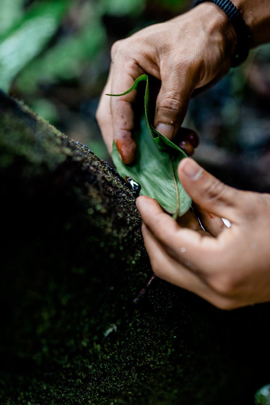 001 guayusa runa puyo adventure moments