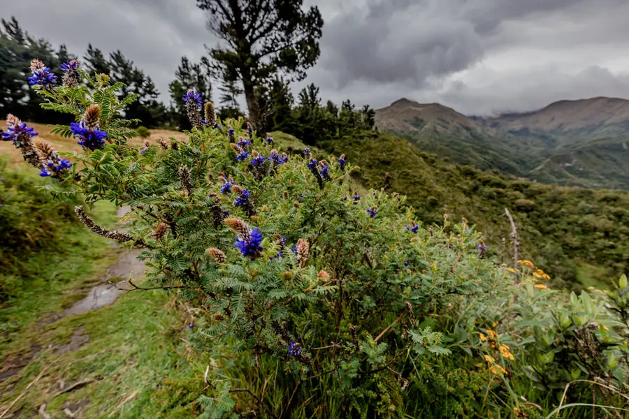 005 Otavalo Adventure Moments