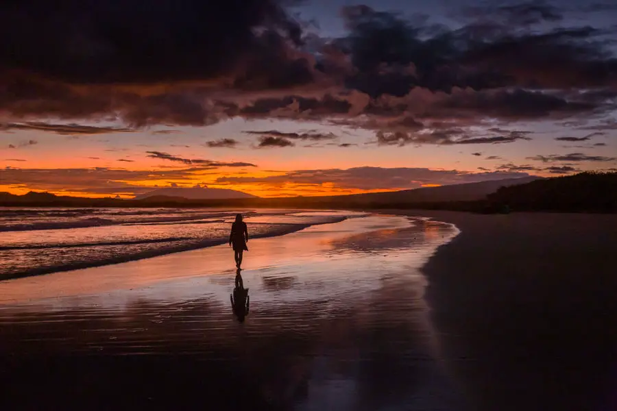 Ultimative Tipps: Galapagos Inseln - Touren, Kosten, Hotels 1 Die besten Tipps für deinen Urlaub auf den Galapagos Inseln