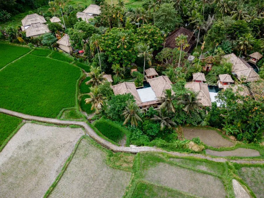 Indonesien Reisetipps - Üppige Reisfelder sind in Indonesien zu finden